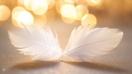 White feather with gold glitter on defocused background with light beam and sparks and confetti. Vector design with realistic golden colored bird or angel quill, soft fluffy plume flying in sun ray