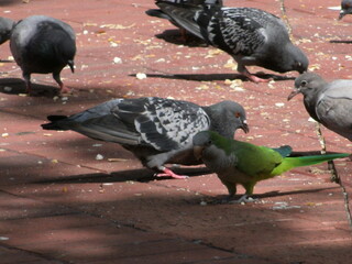 Barcelone, Espagne, Europe