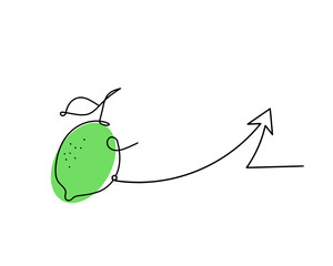 Color drawing line lemon with direction on the white