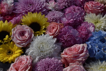 The beautiful colorful flowers on the water surface at the Takino shrine temple in Sapporo Japan