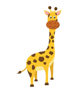 Cute cartoon giraffe isolated on white background. Animal of Africa. Vector illustration