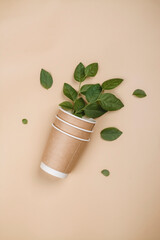 Paper coffee cups and plant's leaves. Eco-friendly concept, Zero waste packaging background