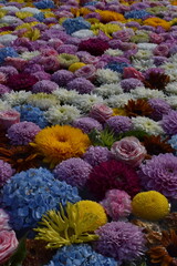The front water pond with full of colorful beautiful flowers at the Takino shrine temple in Sapporo Japan