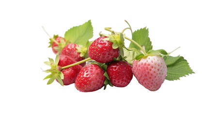 Red stawberry isolated on transparent background, Generative ai.