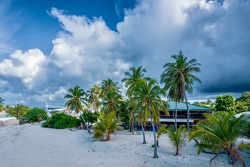 Tropical local island sandy beach with palm trees and resort house in Kamadhoo Maldives