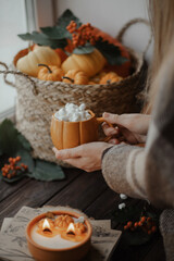 A cup of cocoa with marshmallows in female hands, a basket of pumpkins on the background