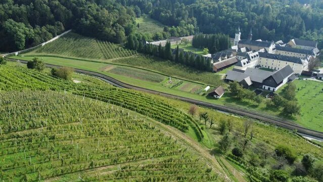 Grape plantations and an old monastery in the background. Drone shot to the vineyards