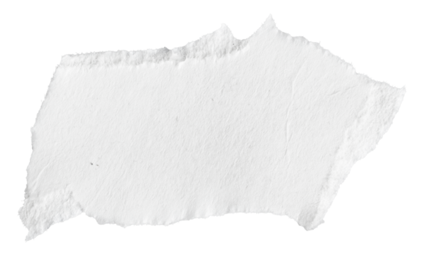 piece of white paper on white isolated background