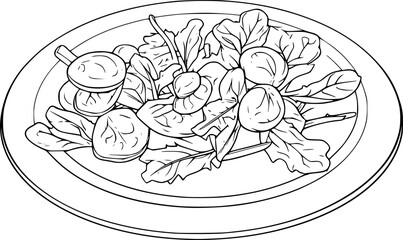 outline illustration of salad for coloring page