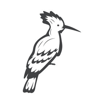 recommend clip art: hoopoe Bird  retro style stock vector Illustration