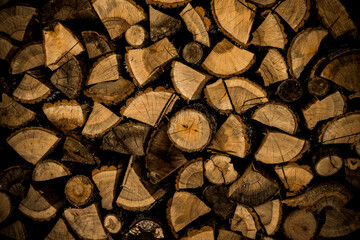 Brennholzscheite aus Eichenholz © by-studio