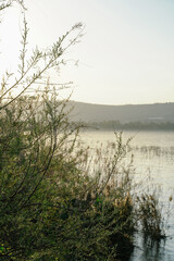 Sunset of the Sea of ​​Galilee beyond the trees