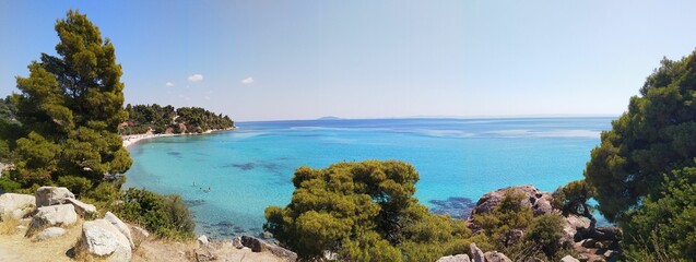 Panoramic shot of a coastline with vegetation and rocks