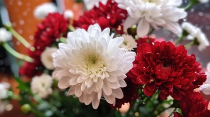 Bouquet of white and red chrysanthemums. Mother's day concept with a space for a text. Valentine day concept with a copy space.