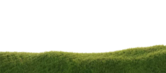Poster Hills with grass on a transparent background. 3D rendering. © snesivan