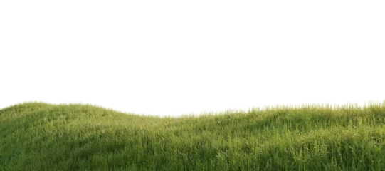 Foto op Plexiglas Hills with grass on a transparent background. 3D rendering. © snesivan