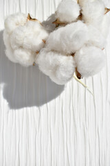 Cotton flowers on white cloth