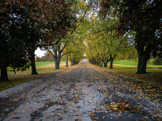 Landscape Scene of Autumn Colors as a Concept of Tranquility.