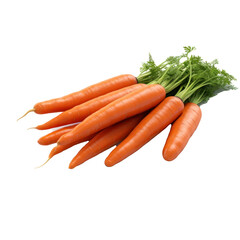 Freshly picked carrots isolated on white background. 
