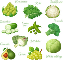 Green vegetables vector icons collection isolated on white background. Fresh green food set of cartoon illustrations, healthy vegetables cucmber, avocado grape, white cabbage kale leaves, green peas 