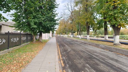 Fototapeta na wymiar On a city street, the roadway is being repaired, utilities and asphalt pavement are being replaced. Nearby buildings, metal fence, trees, bicycle lane and tile sidewalk. Autumn weather