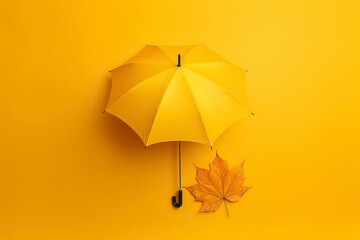 Autumn composition with umbrella and dry leaf, on orange background.