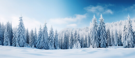 Obraz premium wallpaper of snow covered pine trees during daytime