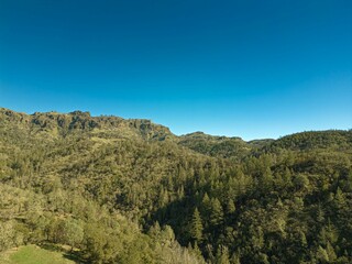 Scenic shot of mountains covered by forest and vegetation on a blue sky
