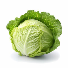 Fototapeta premium cabbage isolated on white background