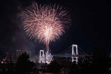 Fototapeta premium Rainbow Bridge Feuerwerk