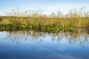 Canoe tour on the Pantanal Marimbus in Andarai, Bahia, Brazil, Chapada Diamantina