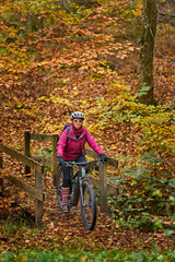 nice senior woman riding her electric mountainbike on the autumnal forest trails near...