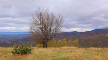 autumn in the mountains