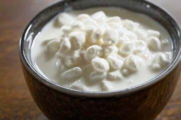 Grainy cottage cheese in a bowl. Fresh European cuisine ingredient.