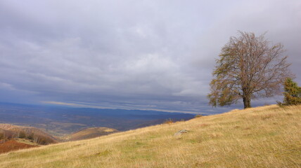 autumn in the mountains