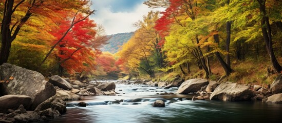 In autumn the beautiful landscape of the forest sets a stunning background as I travel through the green mountains admiring the colorful foliage and the serene water flowing by the majestic