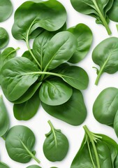 Set Of Spinach Isolated On A White Background