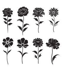 flower drawing set, eps, cutting file, ready to print, flower pictures,