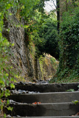 Durchgang, Alt, Efeu, Trepen