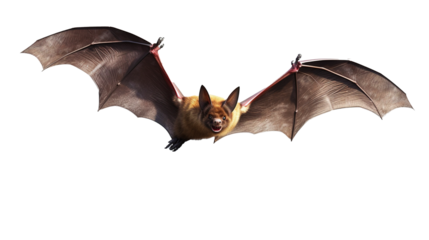 Flying bat isolated on transparent background, image with background removed, created with Generative Ai technology.