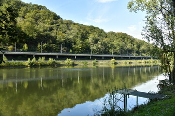 Fototapeta na wymiar Reflet dans les eaux de la Meuse de la colline boisée et de l'autoroute à Lustin 