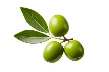 Olive twig with olives on a transparent background