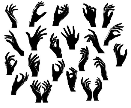 A black and white image of various hand gestures. The hands are in different positions: pointing, holding, grasping. used for educational purposes, as a drawing sample or design element, brushstrokes