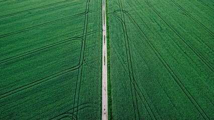Aerial view of a field with pathway