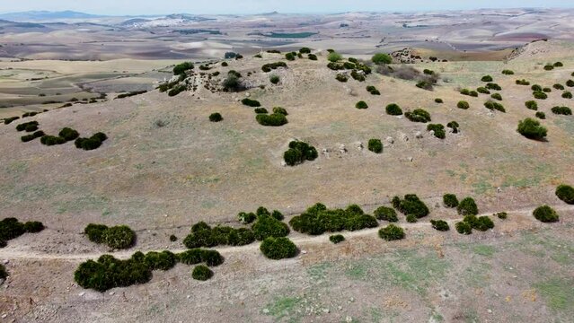 The Iberian Roman archaeological site of Carissa Aurelia