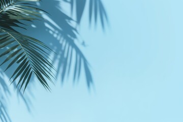 Palm leaves shadow on blue wall background and pastel floor. Summer tropical beach background. Empty room for product presentation. Minimal concept, Generative AI