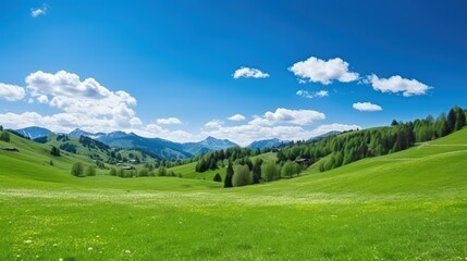 Fototapeta na wymiar Beautiful landscape of meadow mountain view in spring