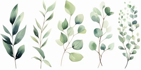 Fotobehang Watercolor floral illustration set - green leaf branches collection, for wedding stationary, greetings, wallpapers, fashion, background. Eucalyptus, olive, green leaves, Generative AI © Visual Wonders