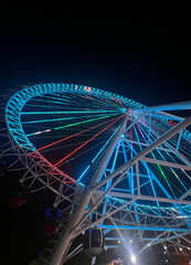 Fragment of the Ferris wheel in the city park. With multi -colored backlight. Spilling palm. Against the background of the night sky.