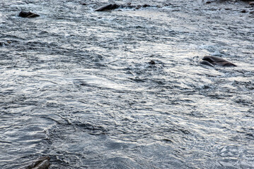 Raging water background by the river